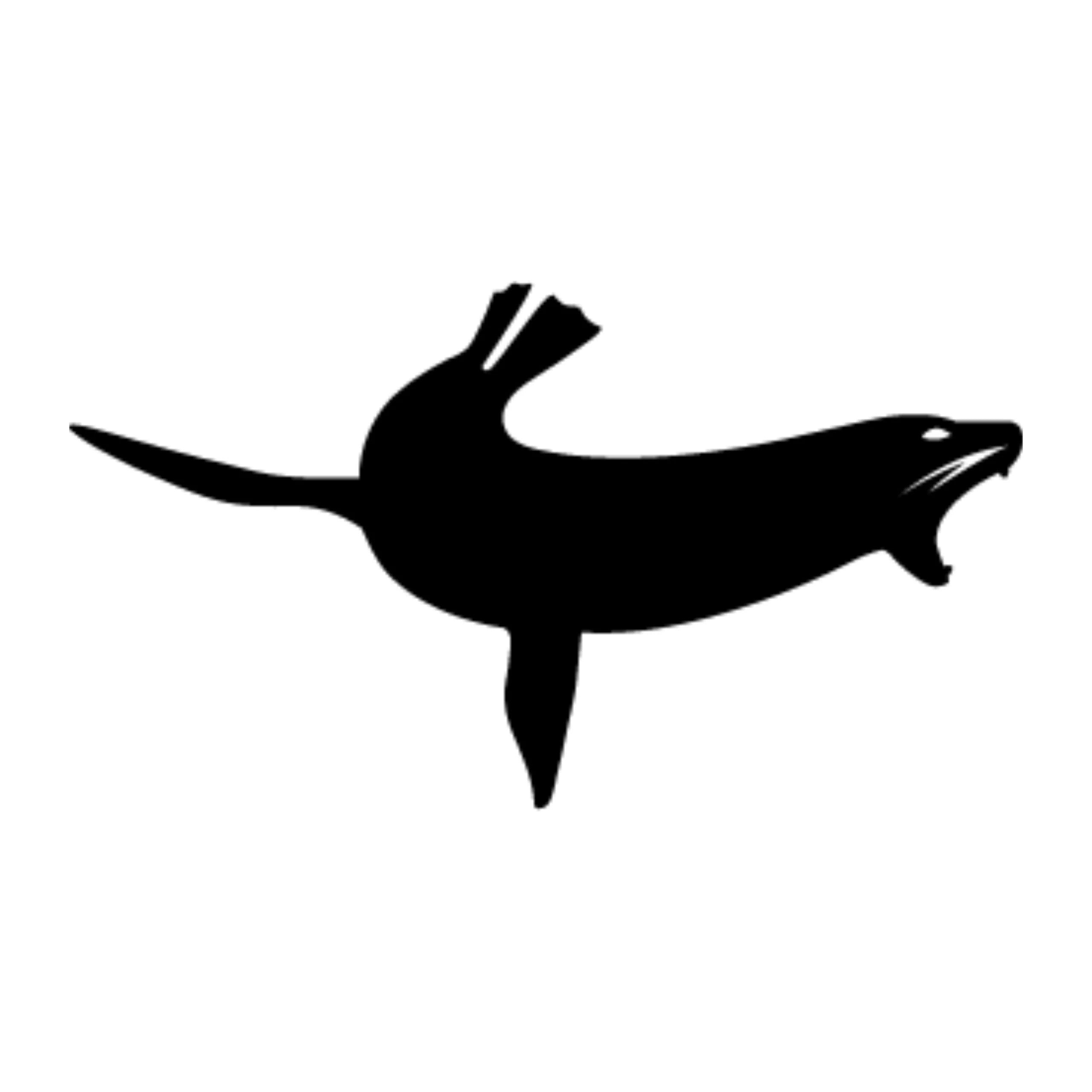 Sealskinz
