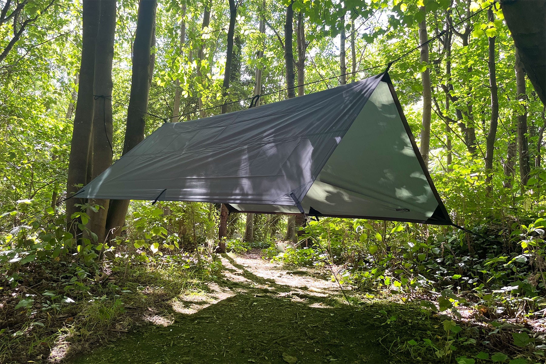 DD Tarp 2x2