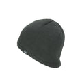 Sealskinz Waterproof Cold Weather Beanie Hat